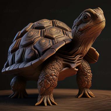 3D model Centrochelys (STL)